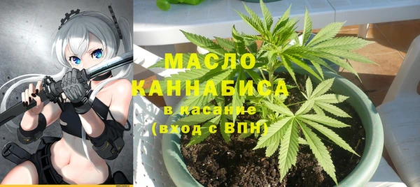 твердый Новозыбков