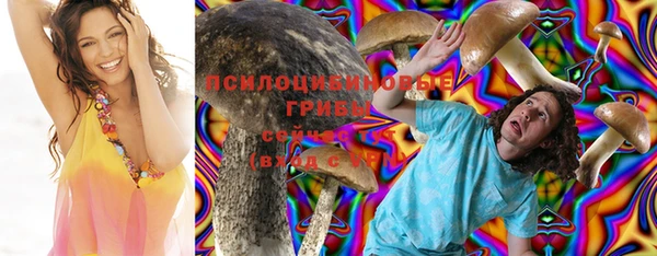 винт Аркадак