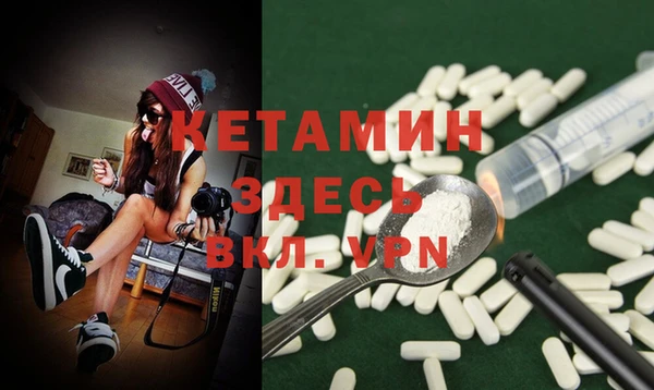 твердый Новозыбков